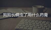 狗狗長螨蟲了用什么藥膏好？狗長了螨蟲用什么藥治療最好