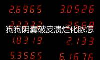 狗狗陰囊破皮潰爛化膿怎么辦(狗狗陰囊潰爛用什么藥)
