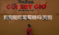 狗狗能吃葡萄糖嗎(狗狗吃葡萄糖有啥用)