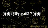 狗狗能吃ppa嗎？狗狗眼睛腫了可以吃消炎藥嗎