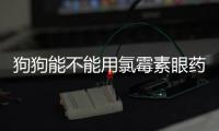 狗狗能不能用氯霉素眼藥水
