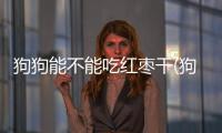 狗狗能不能吃紅棗干(狗狗能不能吃紅棗酸奶)