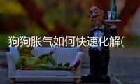 狗狗脹氣如何快速化解(狗狗脹氣是怎么回事)