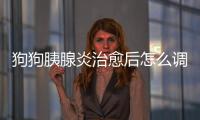 狗狗胰腺炎治愈后怎么調理飲食(狗狗胰腺炎瘦了好多,治愈后還能吃胖嗎)