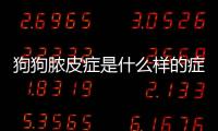 狗狗膿皮癥是什么樣的癥狀？狗狗膿皮病的起因及治療