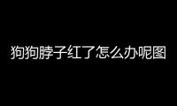 狗狗脖子紅了怎么辦呢圖片？狗狗脖子發紅