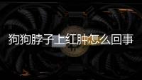 狗狗脖子上紅腫怎么回事兒？狗狗脖子上腫了好大個腫塊,怎么回事
