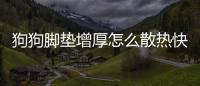 狗狗腳墊增厚怎么散熱快？狗狗腳墊增厚怎么治療
