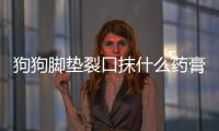 狗狗腳墊裂口抹什么藥膏？狗狗腳墊裂口抹什么藥好得快