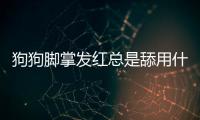 狗狗腳掌發(fā)紅總是舔用什么藥(狗狗腳掌破了怎么處理)