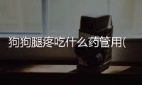 狗狗腿疼吃什么藥管用(狗狗腿瘸了吃什么藥)