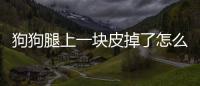 狗狗腿上一塊皮掉了怎么辦??？狗腿上掉了一塊皮還能愈合嗎