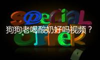 狗狗老喝酸奶好嗎視頻？狗狗總喝酸奶好嗎