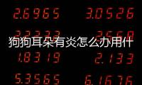 狗狗耳朵有炎怎么辦用什么藥？狗狗耳朵有炎癥怎么辦