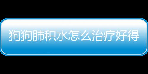 狗狗肺積水怎么治療好得快(肺積水手術后多久康復)