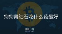 狗狗腎結(jié)石吃什么藥最好(狗狗腎結(jié)石怎樣治最好)