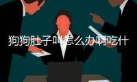 狗狗肚子叫怎么辦啊吃什么藥？狗狗肚子叫的厲害怎么回事