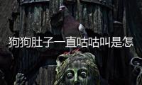 狗狗肚子一直咕咕叫是怎么回事啊？狗狗肚子一直咕咕叫是怎么回事兒
