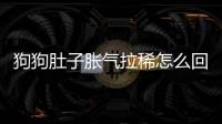 狗狗肚子脹氣拉稀怎么回事吃什么藥？狗狗肚子脹氣而且很硬拉肚子