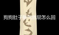 狗狗肚子脹氣放屁怎么回事(狗狗肚子脹氣放屁怎么辦)