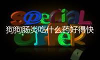 狗狗腸炎吃什么藥好得快(狗狗腸炎用什么藥)