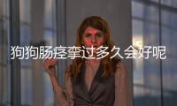 狗狗腸痙攣過多久會好呢(狗狗分離焦慮癥多久會好)