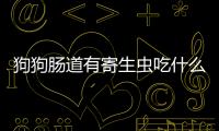 狗狗腸道有寄生蟲吃什么藥好得快？狗狗腸道有寄生蟲吃什么藥好的快