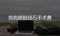 狗狗膀胱結石手術費