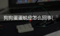 狗狗蛋蛋蛻皮怎么回事(狗狗只有一個蛋蛋怎么回事)