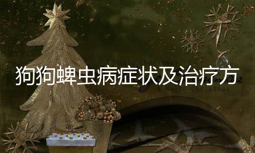 狗狗蜱蟲病癥狀及治療方法圖片