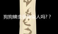 狗狗蜱蟲會傳染人嗎?？狗狗蜱蟲會到人身上嗎,人怎么預防