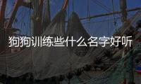 狗狗訓(xùn)練些什么名字好聽？狗狗訓(xùn)練些什么名字比較好聽