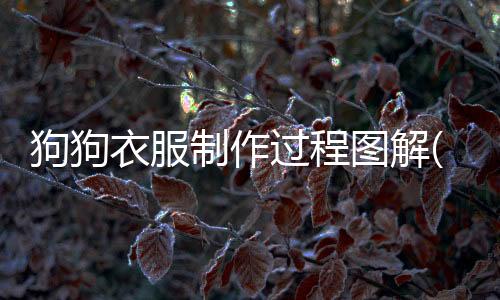 狗狗衣服制作過程圖解(狗狗衣服裁剪圖教程)