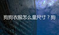狗狗衣服怎么量尺寸？狗狗衣服怎么量尺寸圖解