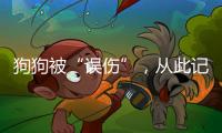 狗狗被“誤傷”，從此記恨主人，再見媽媽后變乖巧，熊孩子也怕媽