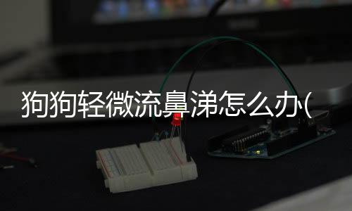 狗狗輕微流鼻涕怎么辦(新生兒有點輕微流鼻涕怎么辦)