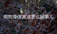 狗狗身體發(fā)涼怎么回事兒啊？狗狗身體發(fā)涼怎么辦
