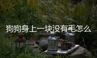 狗狗身上一塊沒有毛怎么回事(狗狗身上癢用什么藥最好)