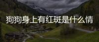 狗狗身上有紅斑是什么情況(狗狗身上有一顆顆的是什么)