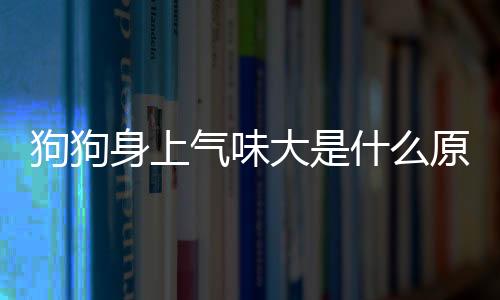 狗狗身上氣味大是什么原因呢(狗狗身上長疙瘩是什么原因)