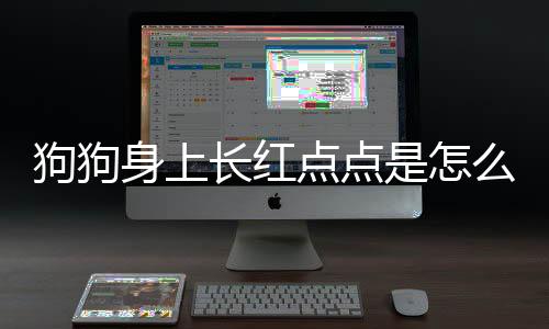 狗狗身上長紅點點是怎么回事(狗狗身上長紅疙瘩是怎么回事)