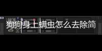 狗狗身上螨蟲怎么去除簡單方法(硫磺皂可以去除狗狗身上的螨蟲嗎)