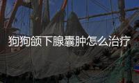狗狗頜下腺囊腫怎么治療(狗狗肘關(guān)節(jié)囊腫怎么治療)