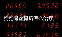 狗狗骨盆骨折怎么治療,能自愈嗎(狗狗骨盆骨折保守治療)
