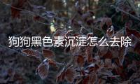 狗狗黑色素沉淀怎么去除(狗狗身上黑色素沉淀怎么去除)