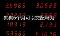 狗狗6個月可以交配嗎為什么(狗6個月能生小狗嗎)