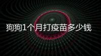 狗狗1個(gè)月打疫苗多少錢(qián)(狗狗一個(gè)月的時(shí)候就打了疫苗)