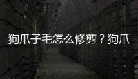 狗爪子毛怎么修剪？狗爪子毛怎么修剪好看