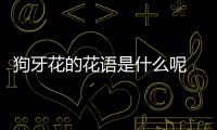 狗牙花的花語是什么呢 狗牙花種植有什么注意的呢