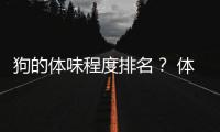 狗的體味程度排名？ 體味最小的狗排名